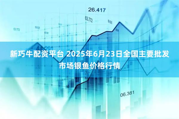 新巧牛配资平台 2025年6月23日全国主要批发市场银鱼价格行情