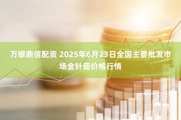 万银鼎信配资 2025年6月23日全国主要批发市场金针菇价格行情