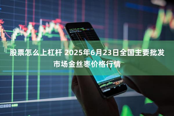 股票怎么上杠杆 2025年6月23日全国主要批发市场金丝枣价格行情