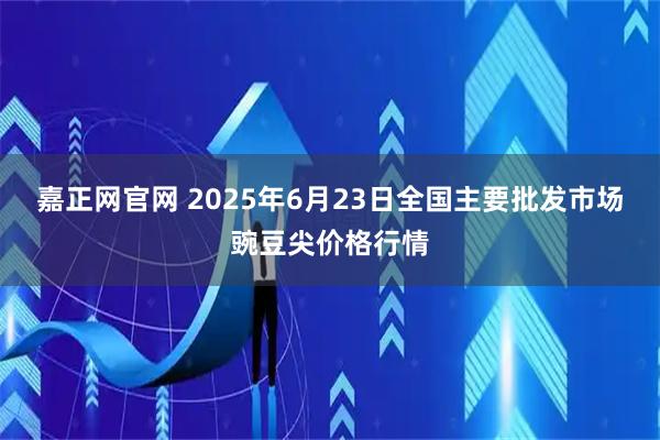 嘉正网官网 2025年6月23日全国主要批发市场豌豆尖价格行情