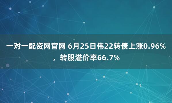 一对一配资网官网 6月25日伟22转债上涨0.96%，转股溢价率66.7%