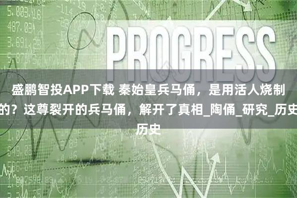 盛鹏智投APP下载 秦始皇兵马俑，是用活人烧制的？这尊裂开的兵马俑，解开了真相_陶俑_研究_历史