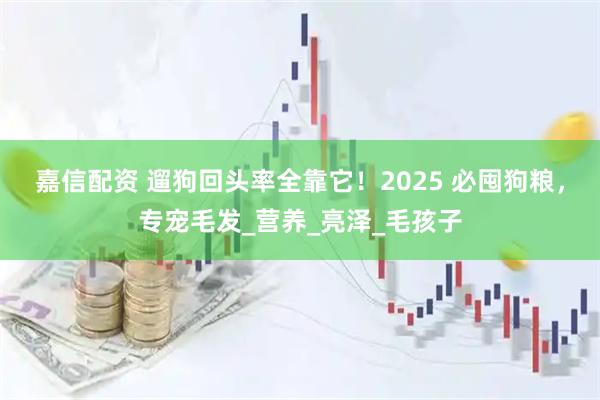 嘉信配资 遛狗回头率全靠它！2025 必囤狗粮，专宠毛发_营养_亮泽_毛孩子